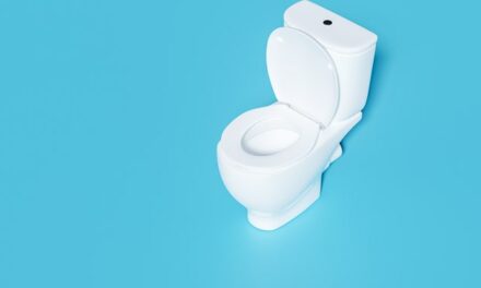 Japanese Toilet Manufacturer Warns Against Perils Of Wiping The Bowl With Toilet Paper