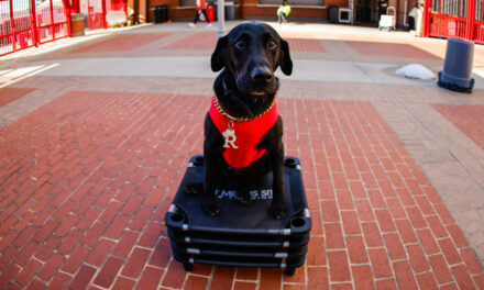 North Carolina Sports Fans Mourn The Passing Of Ripken The Bat Dog