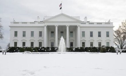 Washington, D.C. Hammered By Insane Snow Storm, Photos And Videos Are Wild