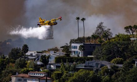 Los Angeles wildfires: Firefighting plane grounded for 3 days after drone strike causes ‘fist-sized hole’