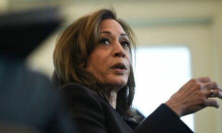 LAPD responds to Kamala Harris’ California home in Palisades Fire evacuation zone, 2 men detained: reports