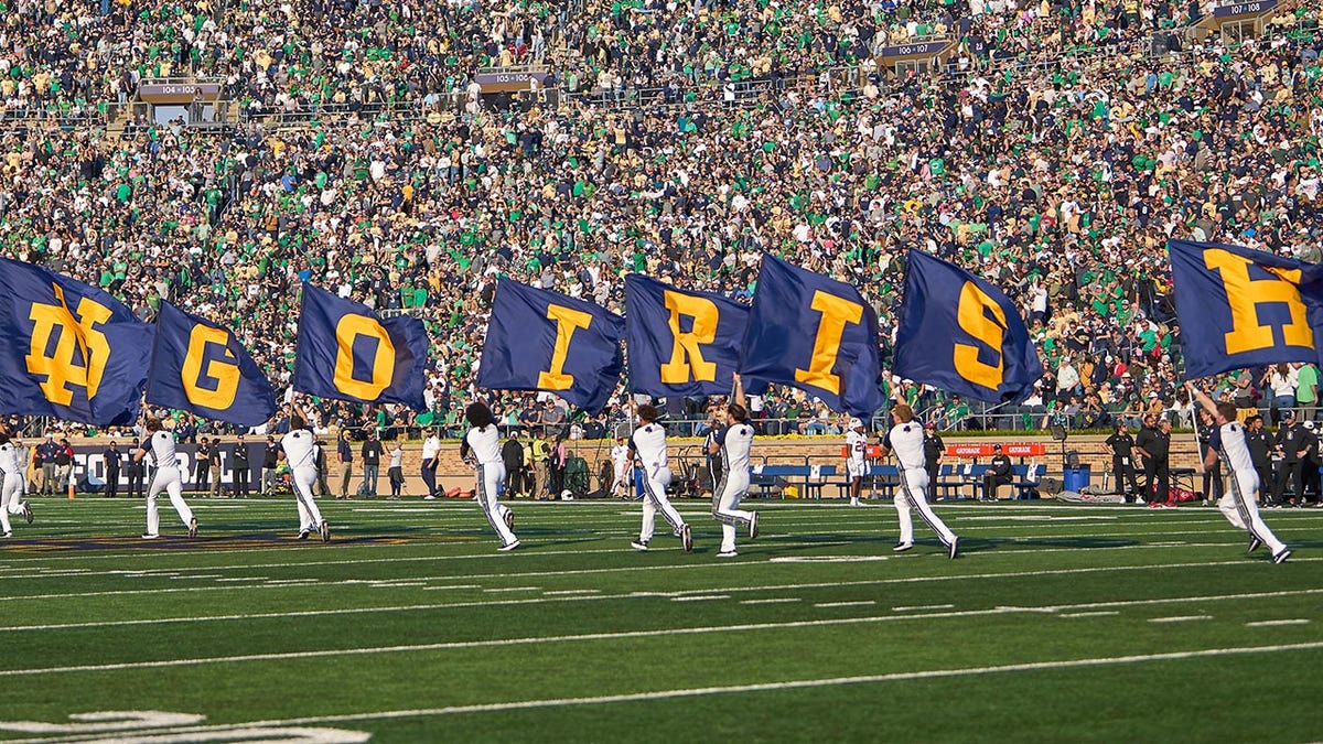 Go Irish flags