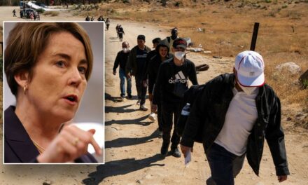 Dem gov who vows to fight Trump border enforcement outraged by migrant using shelter for criminal activity