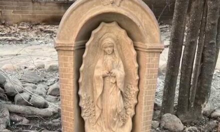 California family clings to faith after Virgin Mary statue survives relentless wildfires that destroyed home