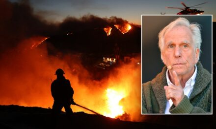 California wildfires: Police shoot down celebrities floating arson theories