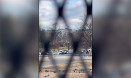 DEVELOPING: U.S Capitol Police Respond to a Suspicious Vehicle Outside Capitol — Public Urged to Avoid Area, Everything Around Capitol Shut Down (VIDEO)