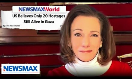 ‘Gut punch’ to say probably only 20 hostages left: KT McFarland | National Report