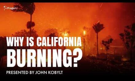 Why Is California Burning? | 5 Minute Videos | PragerU