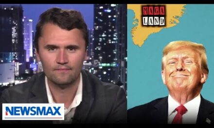 Charlie Kirk reveals talks from Greenland ‘fact-finding’ trip amid Trump acquisition chatter