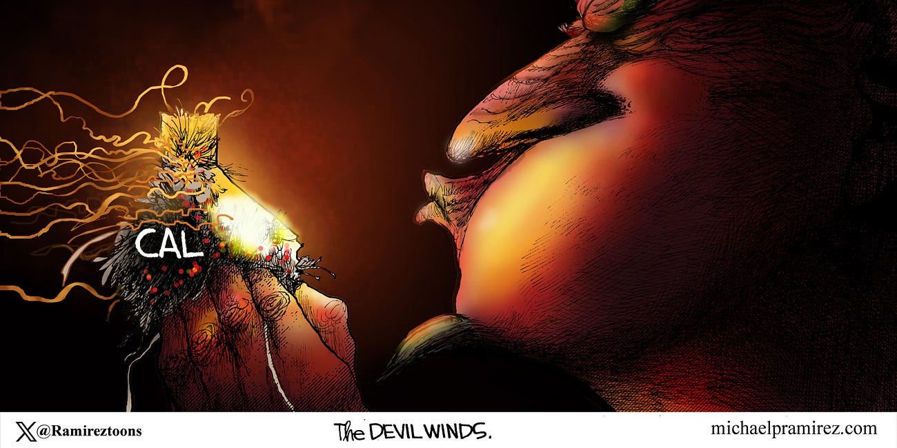 Michael Ramirez: Devil Winds 1-9-25