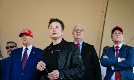 Elon Musk Tests His Political Influence Across the Atlantic