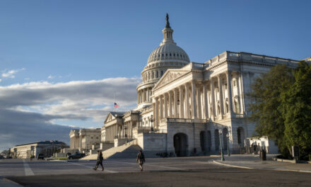 Here Are Some of the New House Members Entering Congress