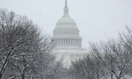 Heavy Snow to Hit Washington on Jan. 6, Congresswoman Issues Warning