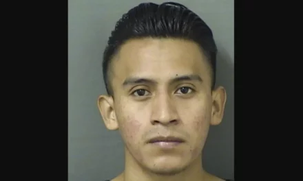 Illegal alien charged with sexually abusing 5-year-old girl; he says he did it ‘by mistake’ — but cops note flaw in his story