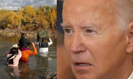 Joe Biden pats himself on the back for drop in illegal border crossings and faces ferocious backlash on social media