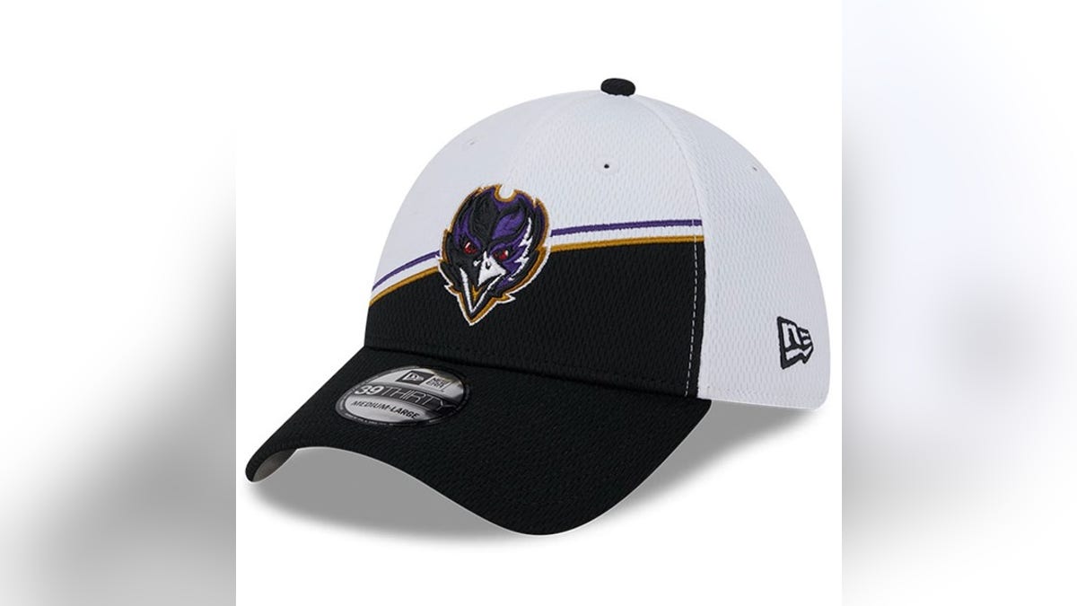 A fun twist on the classic Ravens logo.