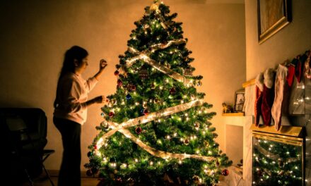 Government Officials Issue Dire Warning To The Public: Please Do Not Eat Christmas Trees