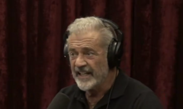 Mel Gibson Has Figured Out Where CA Tax Dollars Went: “Gavin’s Hair Gel”