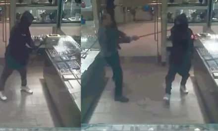 Video: Stick-wielding jewelry store owner lowers the boom on brazen trio of masked, hooded crooks trying smash-and-grab heist