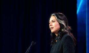 Border Patrol Union Endorses Tulsi Gabbard for Director of National Intelligence Position