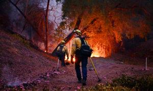 LA Fire Death Toll Rises to 16 as Authorities Expand Evacuations, Brace for Windy Days Ahead