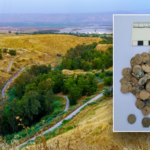 Ancient treasure, largest of its kind in Israel, found buried in 2,100-year-old kitchen