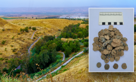 Ancient treasure, largest of its kind in Israel, found buried in 2,100-year-old kitchen