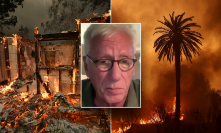 Actor James Woods recalls chaotic moments as Palisades fire gained momentum, praises ‘good’ neighbors for help