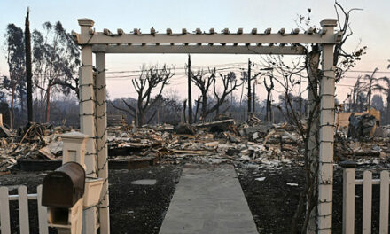 WATCH: Drone Footage Shows Destroyed Pacific Palisades L.A. Neighborhood