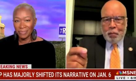 Joy Reid Melts Down as She Calls Trump’s Transition to Power the “Most Violent in U.S. History”