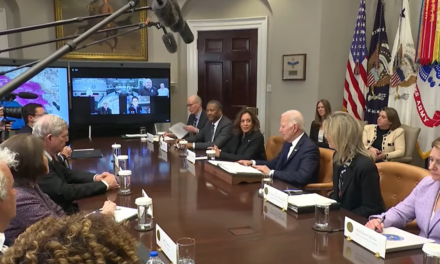 Biden During LA Wildfire Briefing: “Fire Away – No Pun Intended”