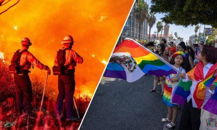 LA County cut fire budget while spending heavily on DEI, woke items: ‘Midnight Stroll Transgender Cafe’