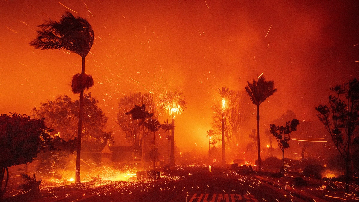 General view of Los Angeles wildfire