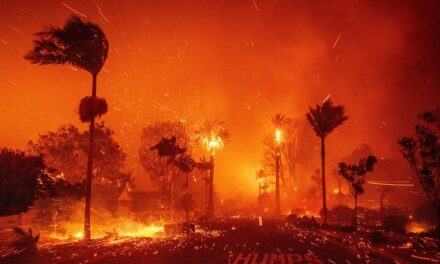 ‘Dramatic and apocalyptic’: LA fire captain details obstacles allowing wildfires to ravage the city