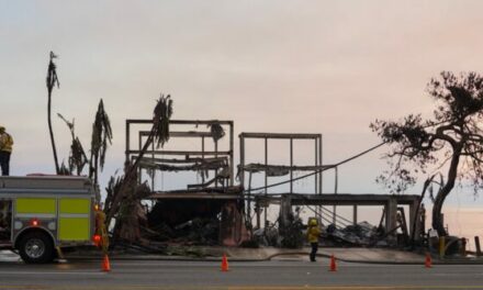 National Guard Deployed to Protect Los Angeles Fire Zones from Looting