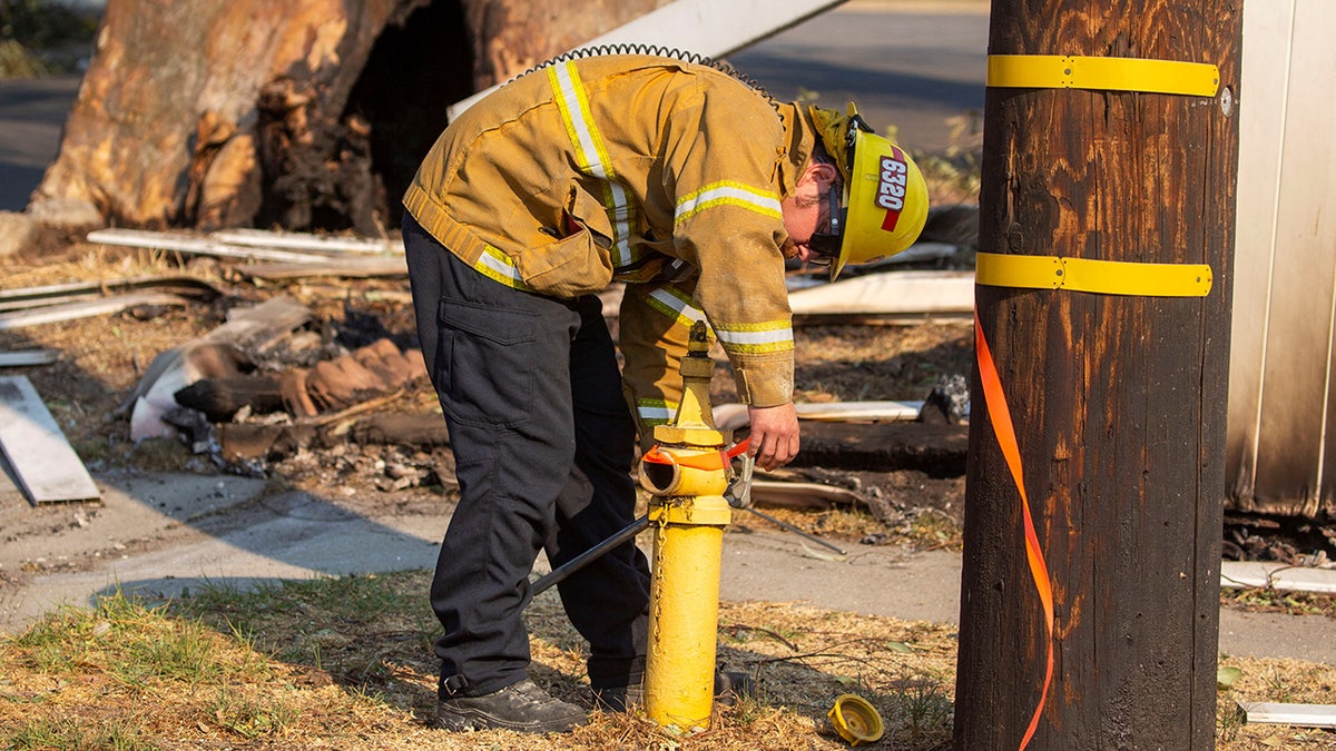 Aftermath of the California wildfires