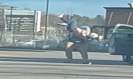 Lunatic Body Slams A Woman During Wild Road Rage Incident