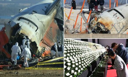 Aviation Expert Says Something “Sinister” May Have Caused South Korea’s Jeju Air Plane Crash That Killed 179