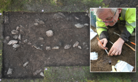 Metal detectorists stumble across 1200-year-old treasure, unusual Christian artifact in Viking graves