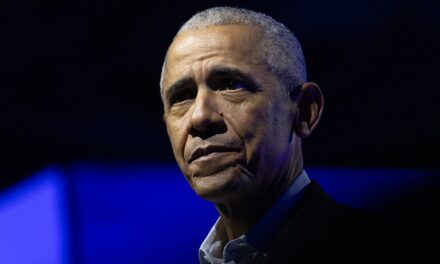 Obama slammed by progressive strategist for catering to elites