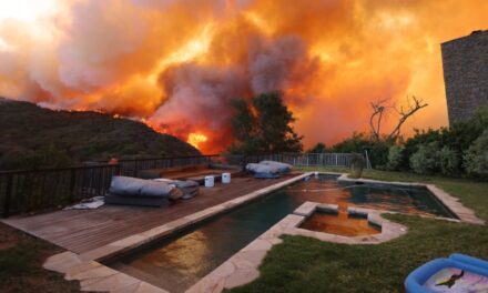 Apocalyptic Video Shows Two Men And A Dog Trapped In A Home Surrounded By Palisades Fire