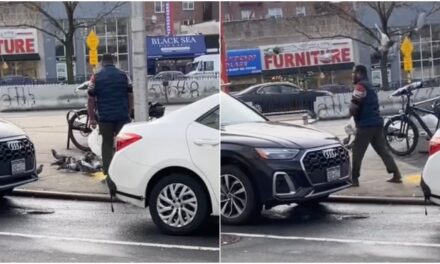 SHOCKING VIDEO: NYC Halal Food Cart Worker Catches Pigeon with His Bare Hands, Bags It, and Returns to His Cart with It