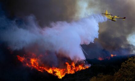 Plane scooping water from ocean to fight wildfires grounded after hitting drone illegally flying over Pacific Palisades