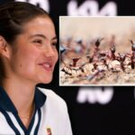 Tennis Star Emma Raducanu Got Chewed Up By Australia’s Jumping Ants