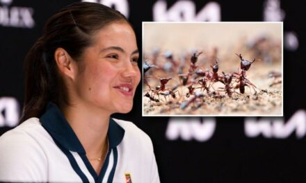 Tennis Star Emma Raducanu Got Chewed Up By Australia’s Jumping Ants