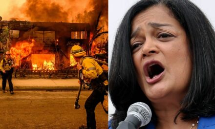 Rep. Pramila Jayapal slammed with backlash after politicizing devastating wildfires in California