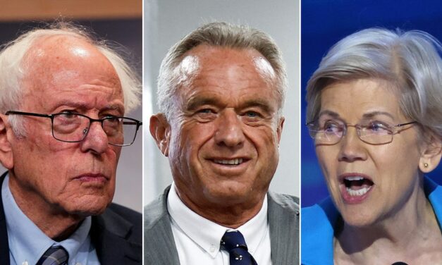 RFK Jr. to meet with slew of Dems including Elizabeth Warren, Bernie Sanders