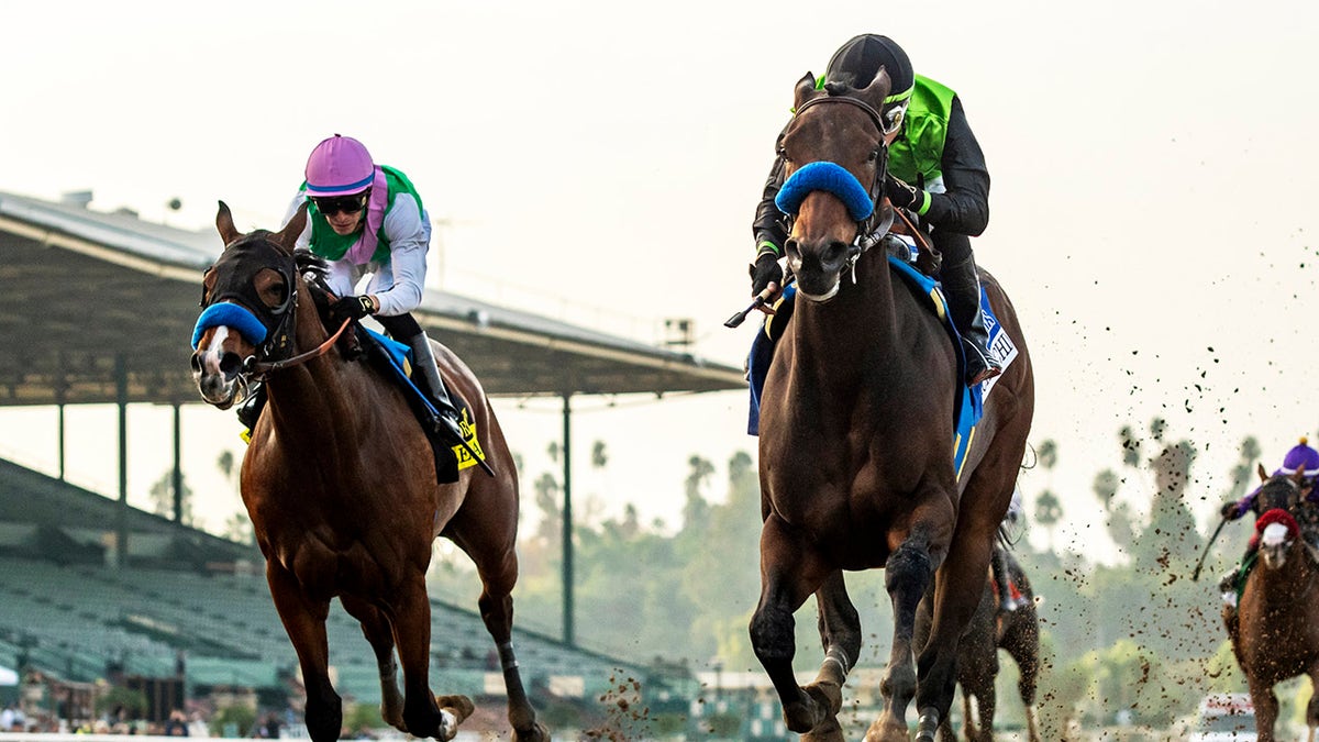 A horse race at Santa Anita Park