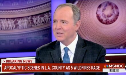 Sen. Adam Schiff scolds Trump to be a unifier in response to LA wildfires