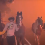 Powerful Video of Horses Being Rescued from California Fires (Video)